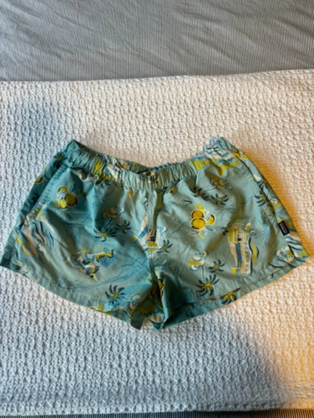 Patagonia Womens shorts, size M in very good condition